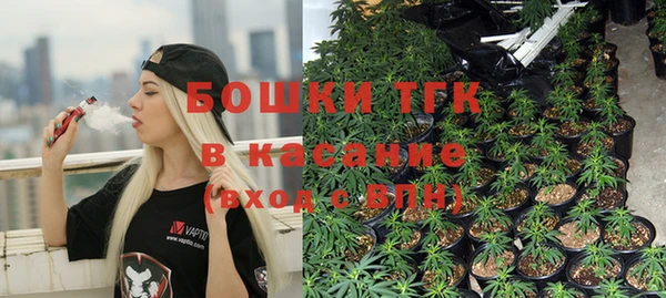 PSILOCYBIN Артём