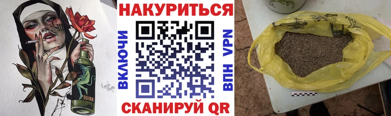 где найти наркотики  MEGA маркетплейс  Канабис ГИДРОПОН  Торопец 